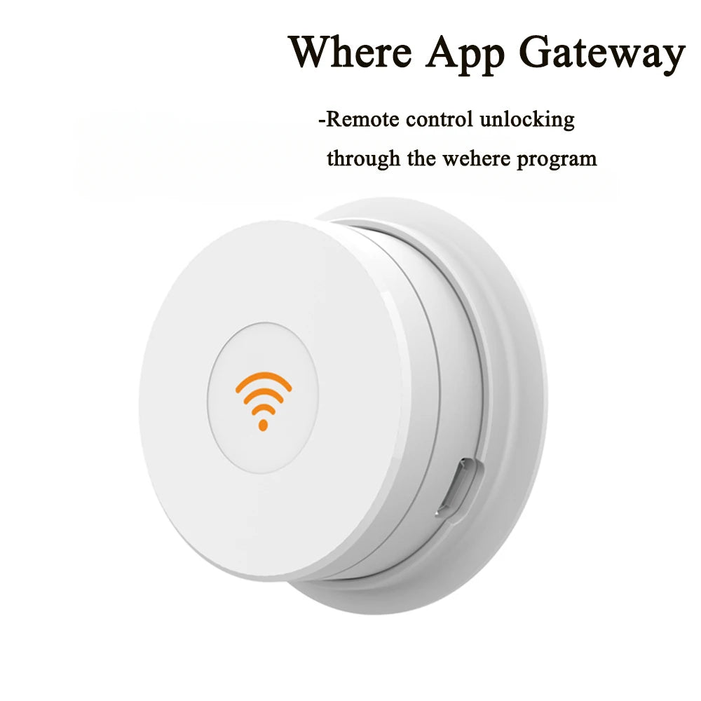 44715036704980|44715036737748|44715038474452|44715038703828|44715038736596|44715038769364